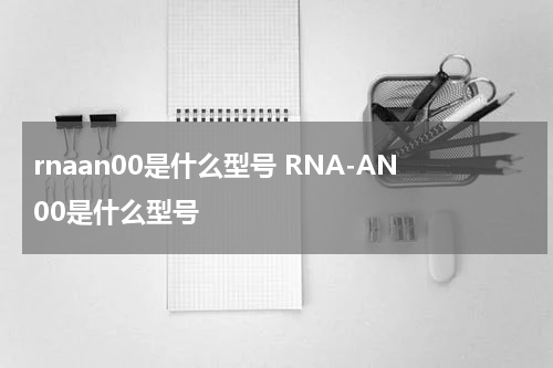 rnaan00是什么型号 RNA-AN00是什么型号