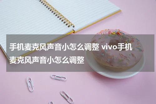 手机麦克风声音小怎么调整 vivo手机麦克风声音小怎么调整