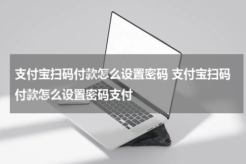 支付宝扫码付款怎么设置密码 支付宝扫码付款怎么设置密码支付