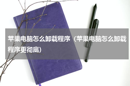 苹果电脑怎么卸载程序（苹果电脑怎么卸载程序更彻底）