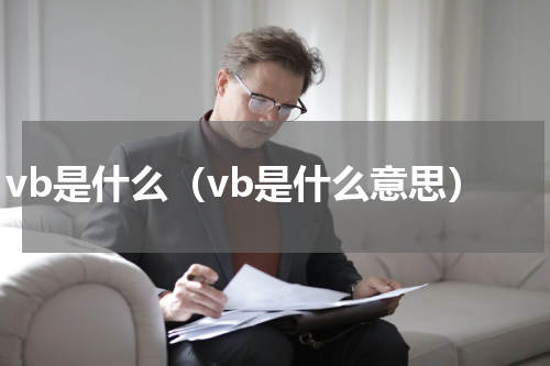 vb是什么（vb是什么意思）