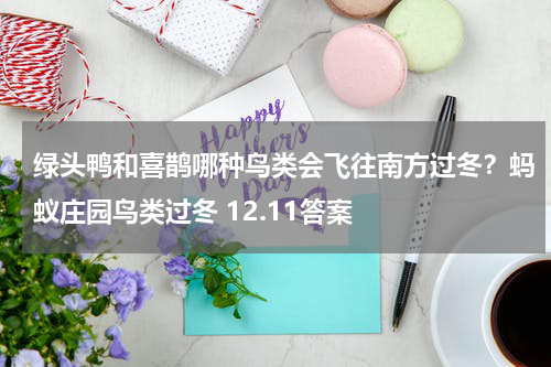 绿头鸭和喜鹊哪种鸟类会飞往南方过冬？蚂蚁庄园鸟类过冬 12.11答案