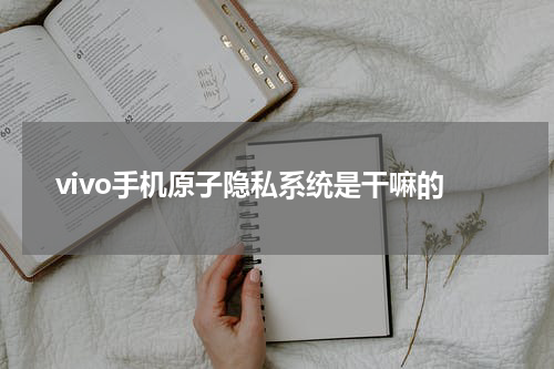 vivo手机原子隐私系统是干嘛的