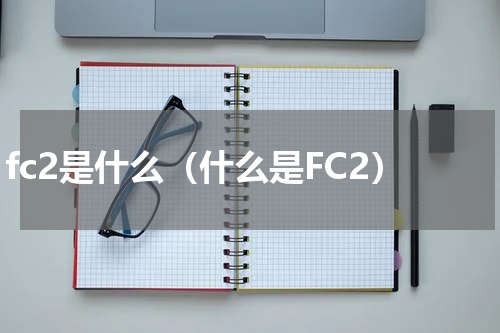 fc2是什么（什么是FC2）
