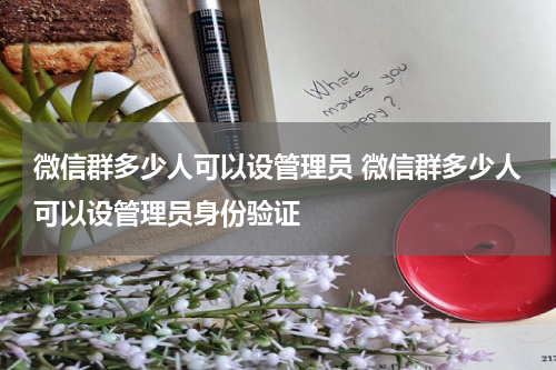 微信群多少人可以设管理员 微信群多少人可以设管理员身份验证