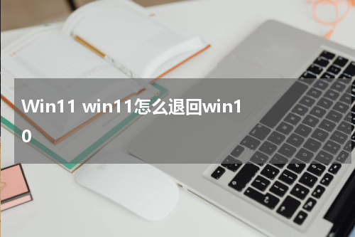Win11 win11怎么退回win10