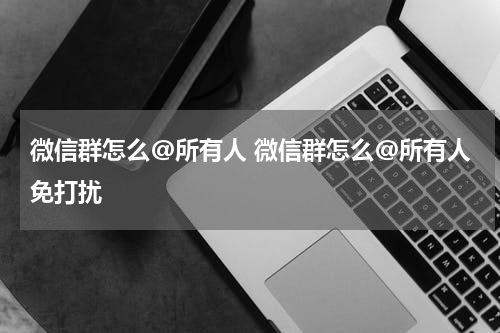 微信群怎么@所有人 微信群怎么@所有人免打扰