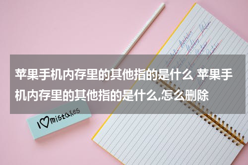 苹果手机内存里的其他指的是什么 苹果手机内存里的其他指的是什么,怎么删除