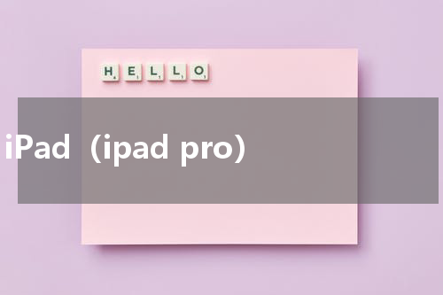 iPad（ipad pro）