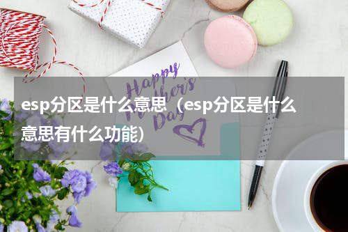 esp分区是什么意思（esp分区是什么意思有什么功能）