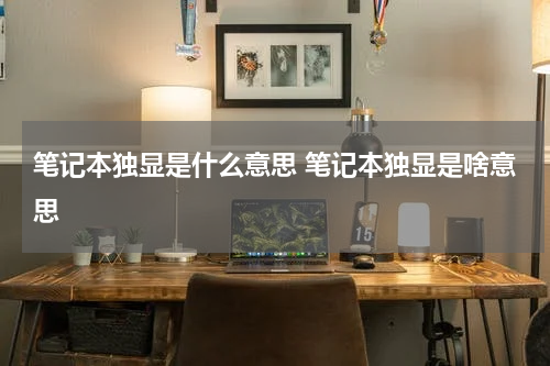 笔记本独显是什么意思 笔记本独显是啥意思