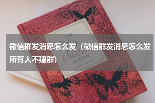 微信群发消息怎么发（微信群发消息怎么发所有人不建群）