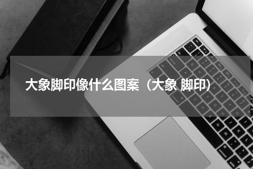 大象脚印像什么图案（大象 脚印）