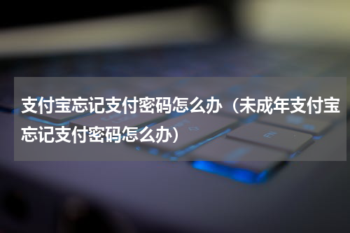 支付宝忘记支付密码怎么办（未成年支付宝忘记支付密码怎么办）