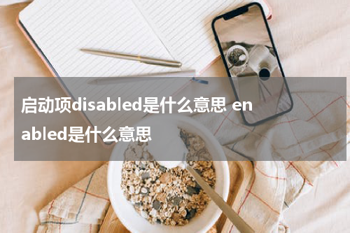 启动项disabled是什么意思 enabled是什么意思
