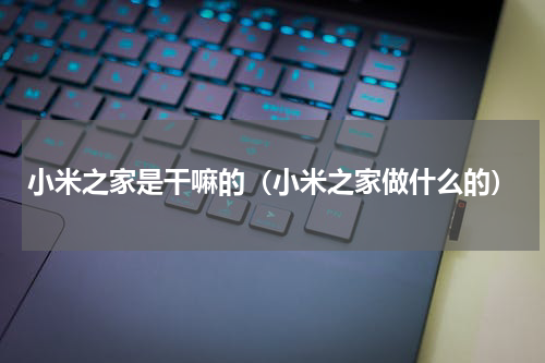 小米之家是干嘛的（小米之家做什么的）