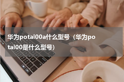 华为potal00a什么型号（华为potal00是什么型号）
