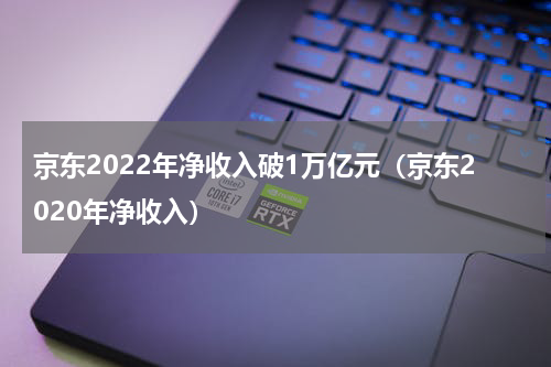 京东2022年净收入破1万亿元（京东2020年净收入）