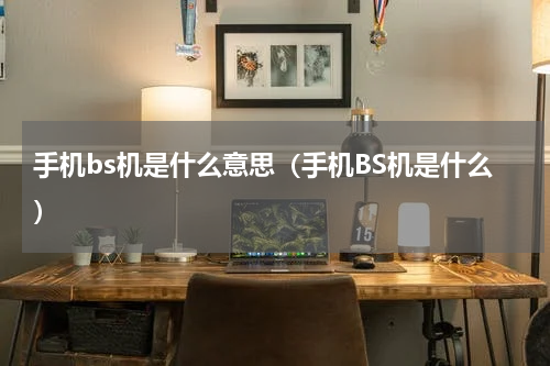 手机bs机是什么意思（手机BS机是什么）