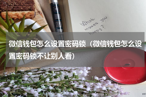 微信钱包怎么设置密码锁（微信钱包怎么设置密码锁不让别人看）