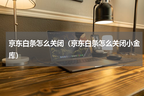 京东白条怎么关闭（京东白条怎么关闭小金库）