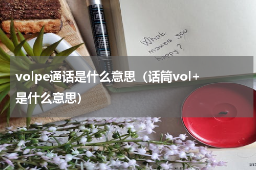 volpe通话是什么意思（话筒vol+是什么意思）