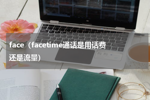 face（facetime通话是用话费还是流量）