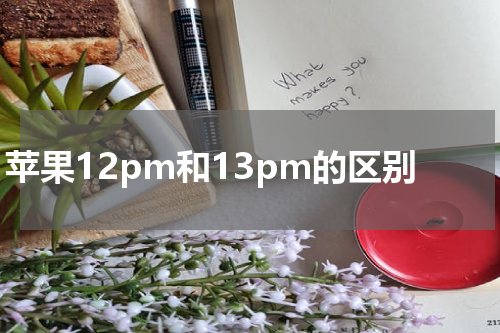 苹果12pm和13pm的区别