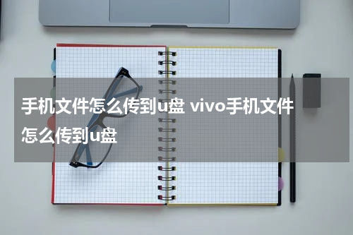 手机文件怎么传到u盘 vivo手机文件怎么传到u盘