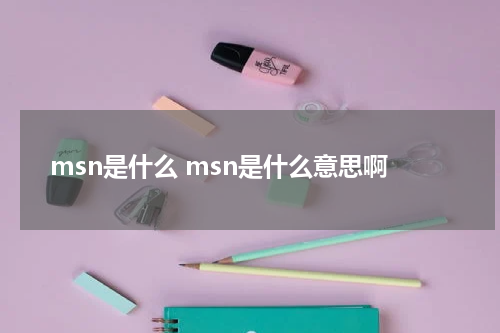 msn是什么 msn是什么意思啊