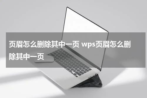 页眉怎么删除其中一页 wps页眉怎么删除其中一页