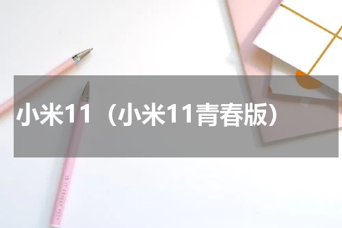小米11（小米11青春版）