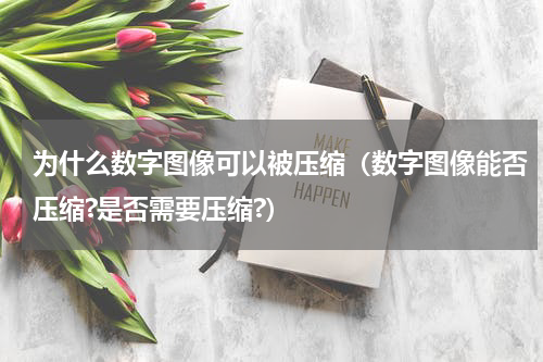 为什么数字图像可以被压缩（数字图像能否压缩?是否需要压缩?）