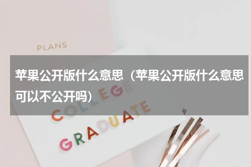 苹果公开版什么意思（苹果公开版什么意思可以不公开吗）