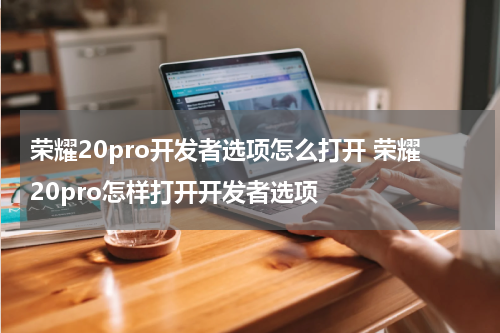 荣耀20pro开发者选项怎么打开 荣耀20pro怎样打开开发者选项