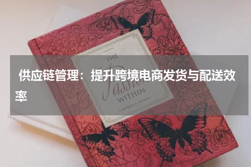  供应链管理：提升跨境电商发货与配送效率