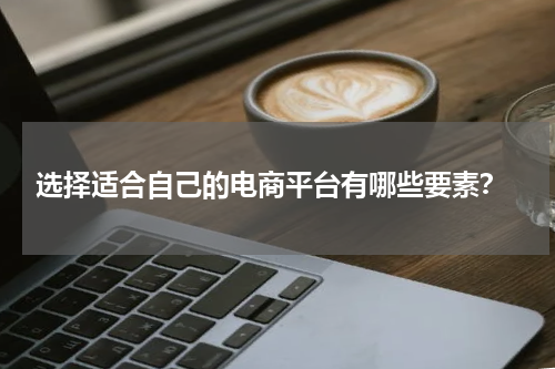  选择适合自己的电商平台有哪些要素？