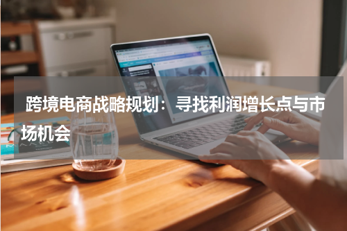  跨境电商战略规划：寻找利润增长点与市场机会