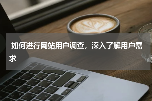  如何进行网站用户调查，深入了解用户需求