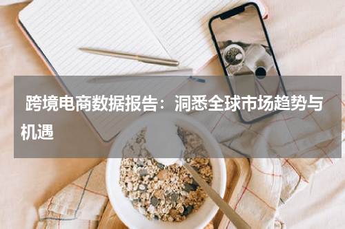  跨境电商数据报告：洞悉全球市场趋势与机遇