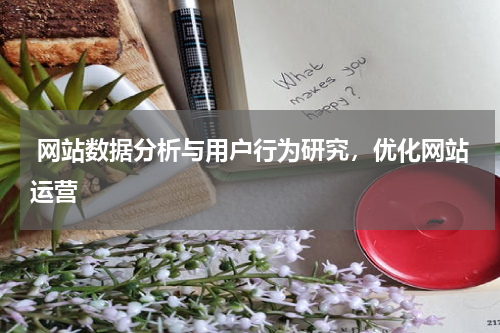  网站数据分析与用户行为研究，优化网站运营