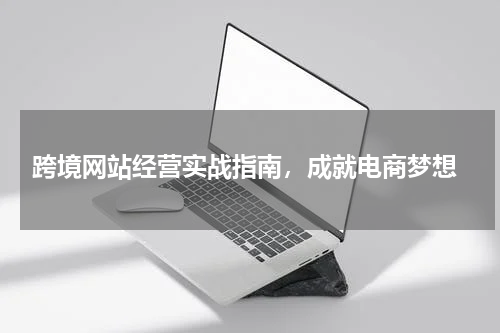  跨境网站经营实战指南，成就电商梦想