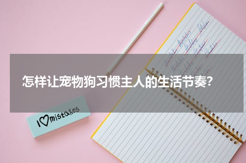  怎样让宠物狗习惯主人的生活节奏？