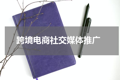  跨境电商社交媒体推广