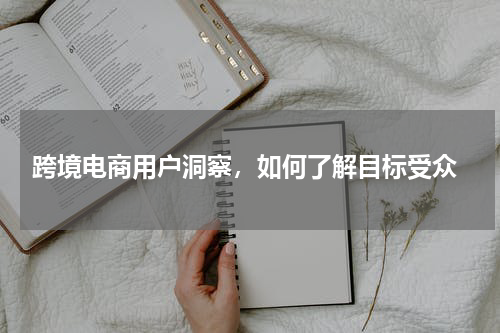  跨境电商用户洞察，如何了解目标受众