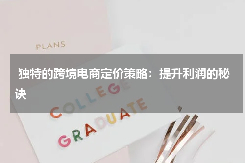  独特的跨境电商定价策略：提升利润的秘诀