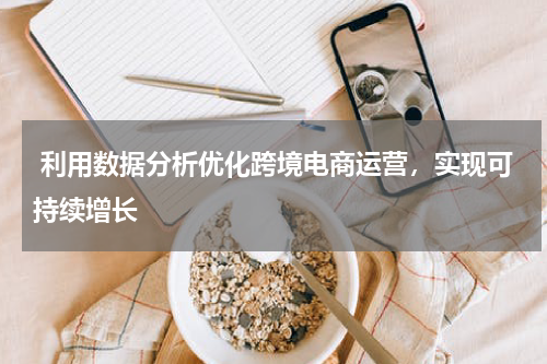  利用数据分析优化跨境电商运营，实现可持续增长