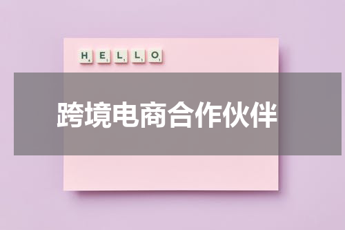  跨境电商合作伙伴