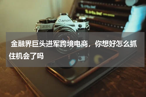  金融界巨头进军跨境电商，你想好怎么抓住机会了吗