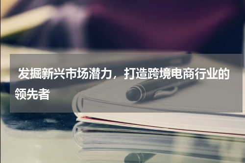  发掘新兴市场潜力，打造跨境电商行业的领先者